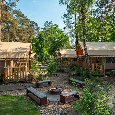 בית נופש Beautiful Located On De Veluwe אוטרלו