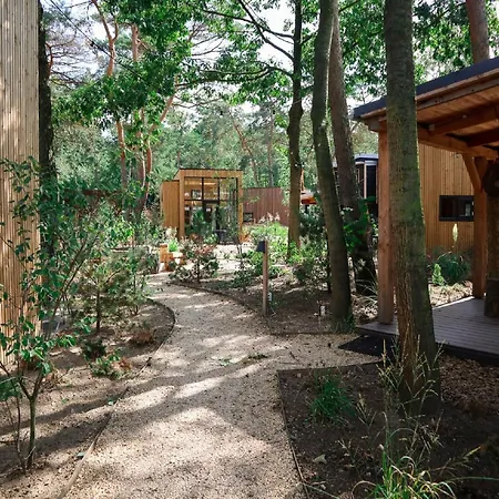 Beautiful Located On De Veluwe
